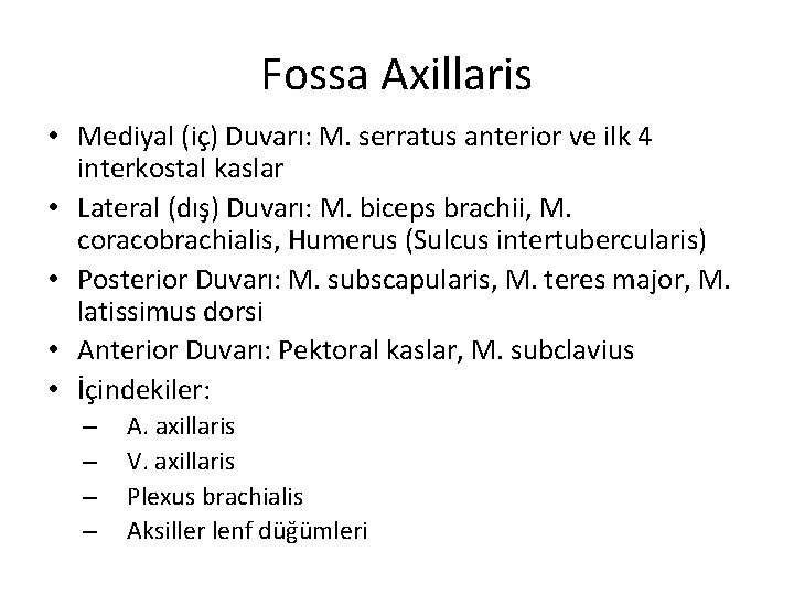 Fossa Axillaris • Mediyal (iç) Duvarı: M. serratus anterior ve ilk 4 interkostal kaslar