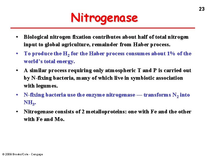 Nitrogenase • Biological nitrogen fixation contributes about half of total nitrogen input to global
