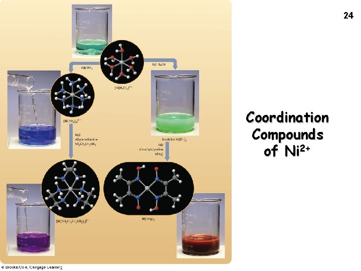 24 Coordination Compounds of Ni 2+ © 2009 Brooks/Cole - Cengage 
