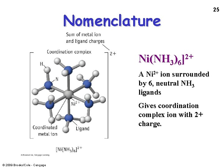 Nomenclature Ni(NH 3)6]2+ A Ni 2+ ion surrounded by 6, neutral NH 3 ligands