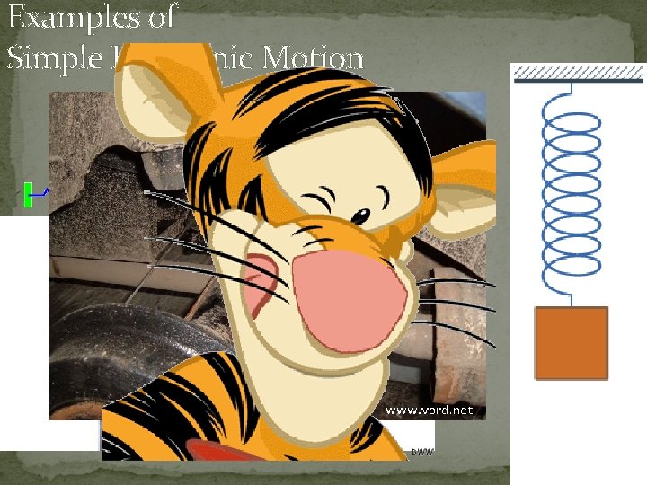 Examples of Simple Harmonic Motion 