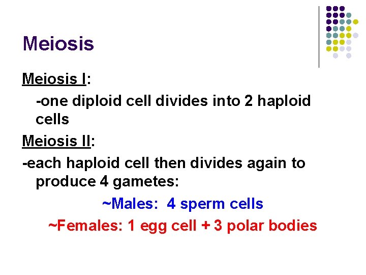 Meiosis I: -one diploid cell divides into 2 haploid cells Meiosis II: -each haploid