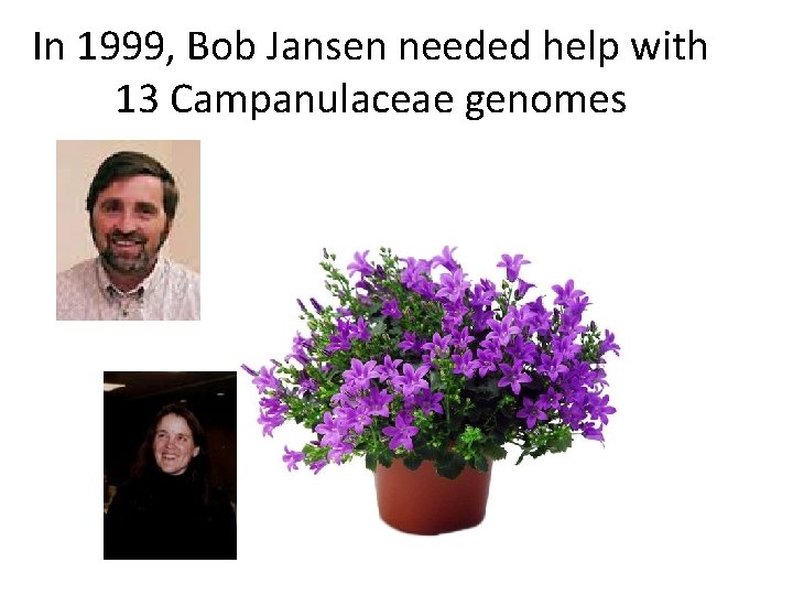 In 1999, Bob Jansen needed help with 13 Campanulaceae genomes 