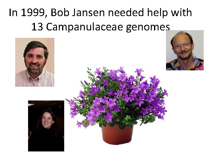 In 1999, Bob Jansen needed help with 13 Campanulaceae genomes 