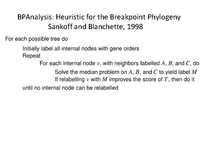 BPAnalysis: Heuristic for the Breakpoint Phylogeny Sankoff and Blanchette, 1998 