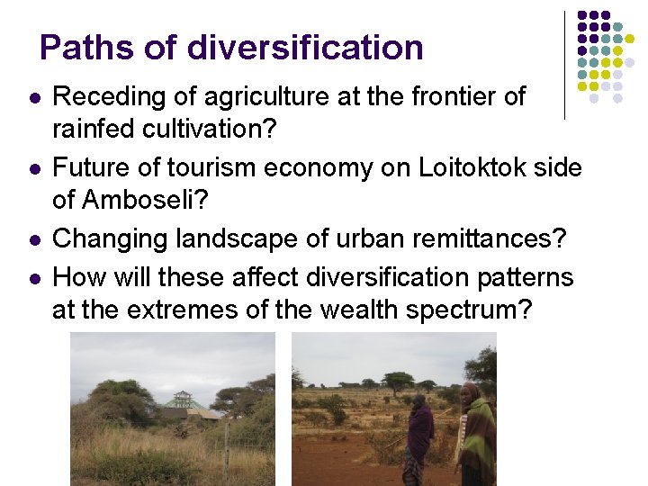 Paths of diversification l l Receding of agriculture at the frontier of rainfed cultivation?