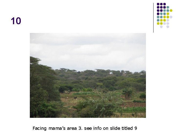 10 Facing mama’s area 3. see info on slide titled 9 