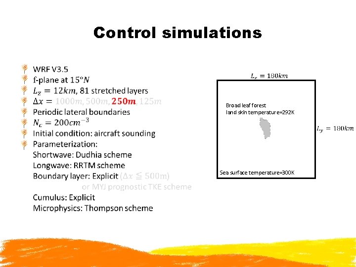 Control simulations Broad leaf forest land skin temperature=292 K Sea surface temperature=300 K 