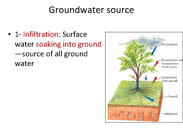 Groundwater source • 1 - Infiltration: Surface water soaking into ground —source of all