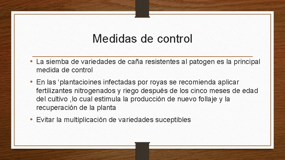 Medidas de control • La siemba de variedades de caña resistentes al patogen es