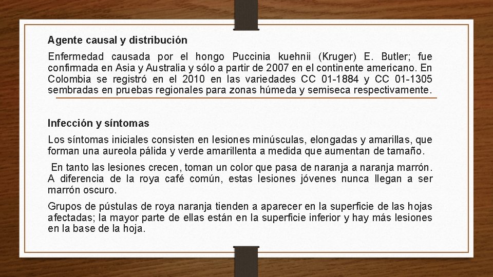 Agente causal y distribución Enfermedad causada por el hongo Puccinia kuehnii (Kruger) E. Butler;