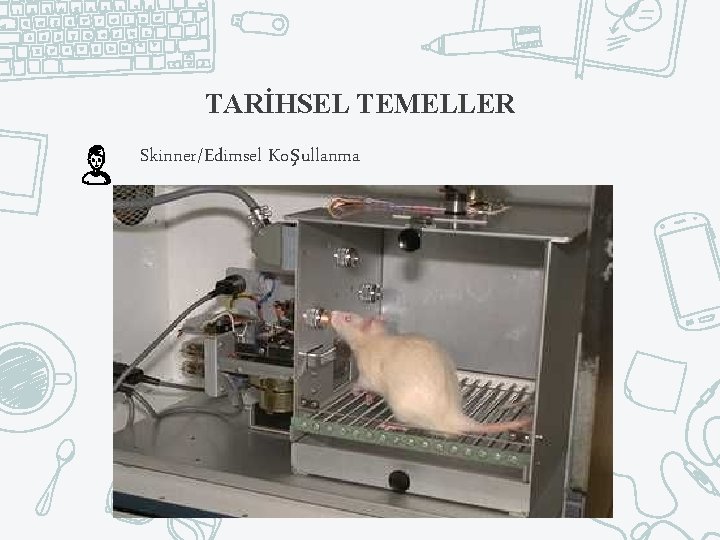 TARİHSEL TEMELLER Skinner/Edimsel Koşullanma 