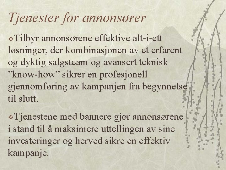 Tjenester for annonsører v. Tilbyr annonsørene effektive alt-i-ett løsninger, der kombinasjonen av et erfarent