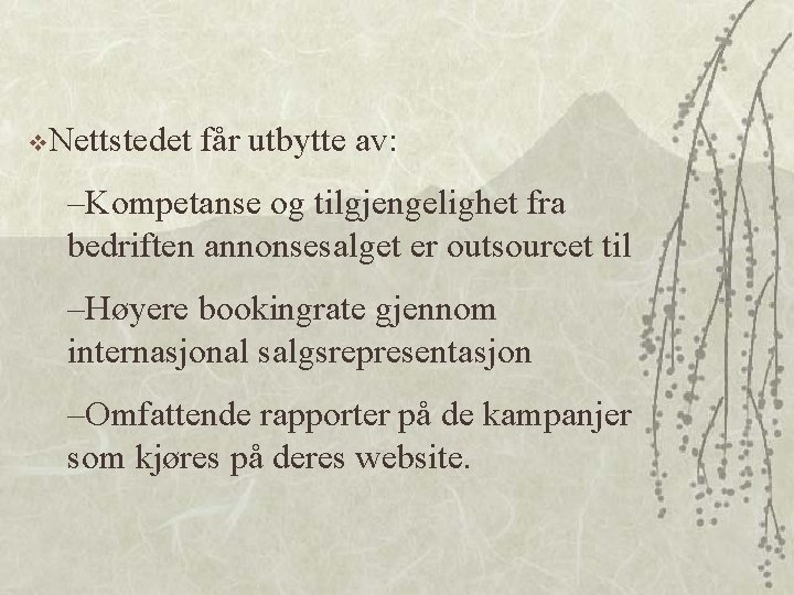 v. Nettstedet får utbytte av: –Kompetanse og tilgjengelighet fra bedriften annonsesalget er outsourcet til