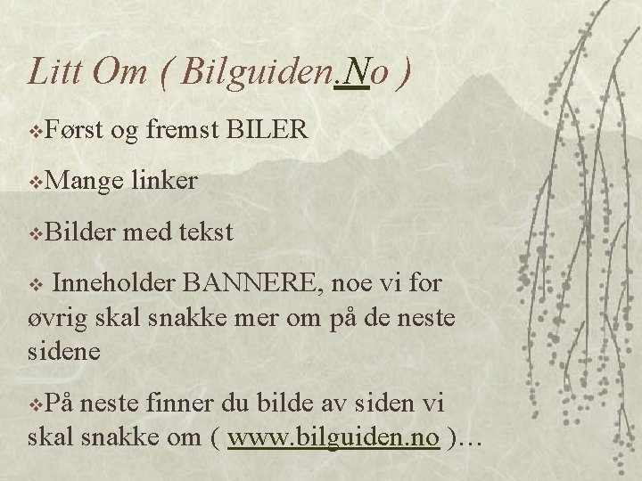 Litt Om ( Bilguiden. No ) v. Først og fremst BILER v. Mange v.