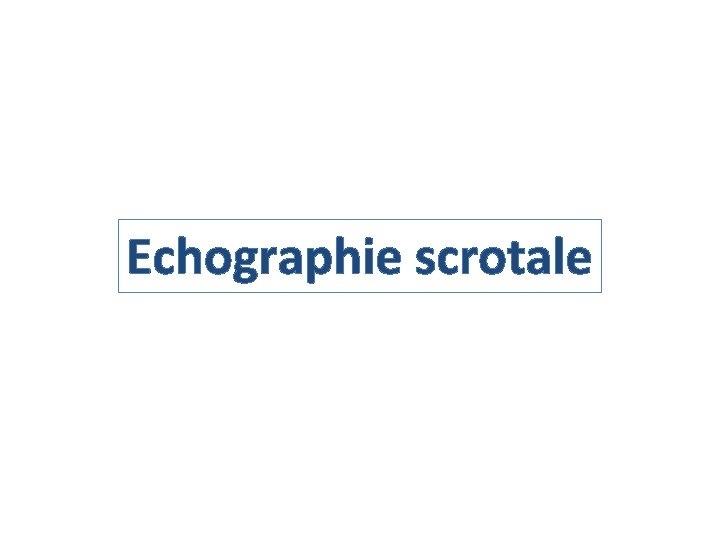 Echographie scrotale 