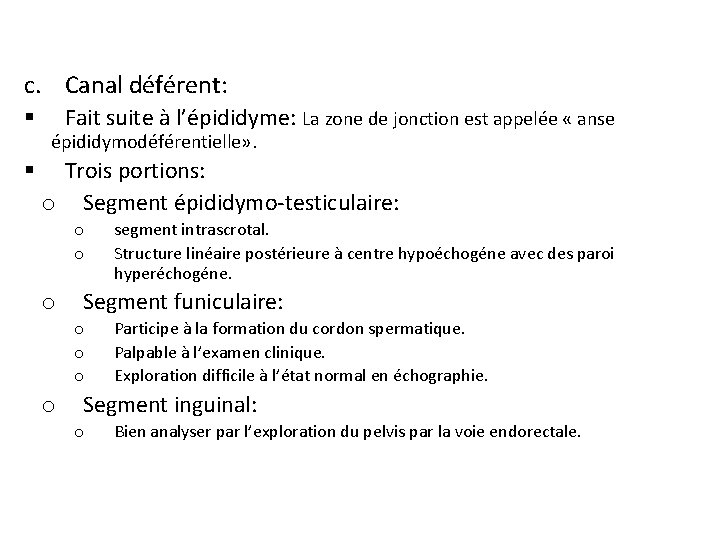 c. Canal déférent: § § Fait suite à l’épididyme: La zone de jonction est