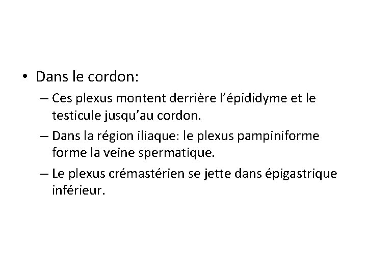  • Dans le cordon: – Ces plexus montent derrière l’épididyme et le testicule