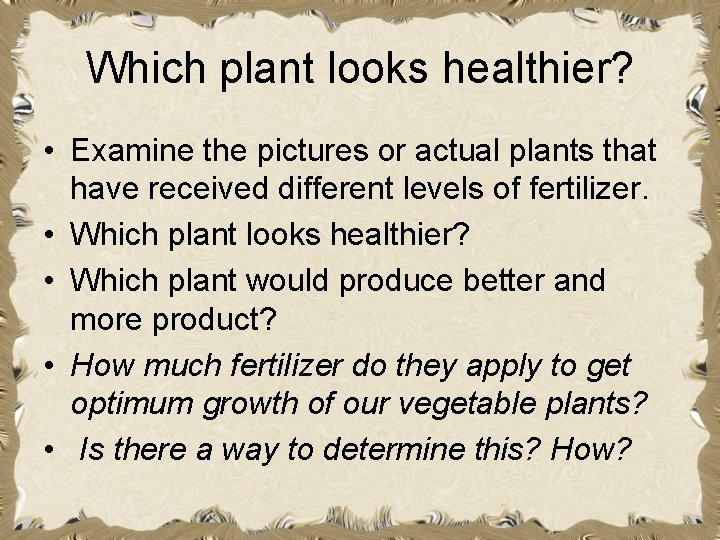 Which plant looks healthier? • Examine the pictures or actual plants that have received