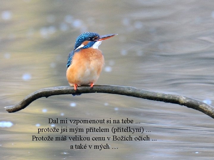 Dal mi vzpomenout si na tebe. . . protože jsi mým přítelem (přítelkyní). .