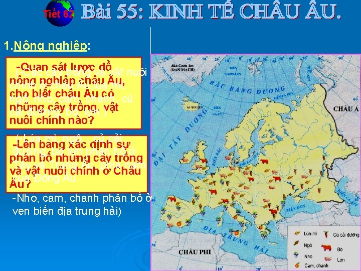 Tiết 62 1. Nông nghiệp: -Quancây sáttrồng lượcvà đồvật nuôi (-Các nông châu u,