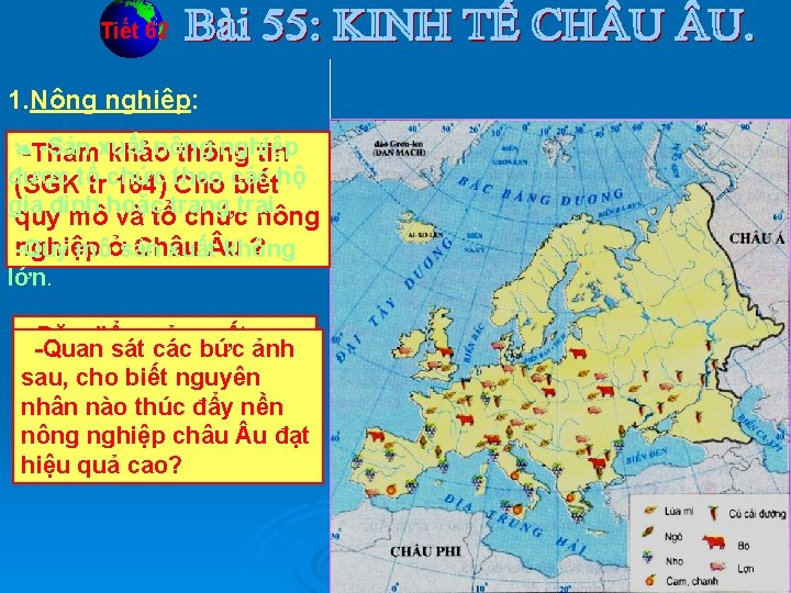 Tiết 62 1. Nông nghiệp: -Sản xuất nông nghiệp -Tham khảo thông tin được