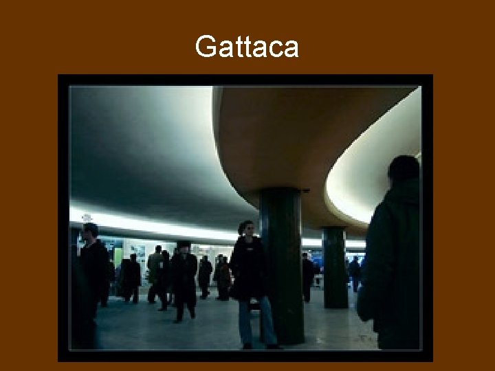 Gattaca 