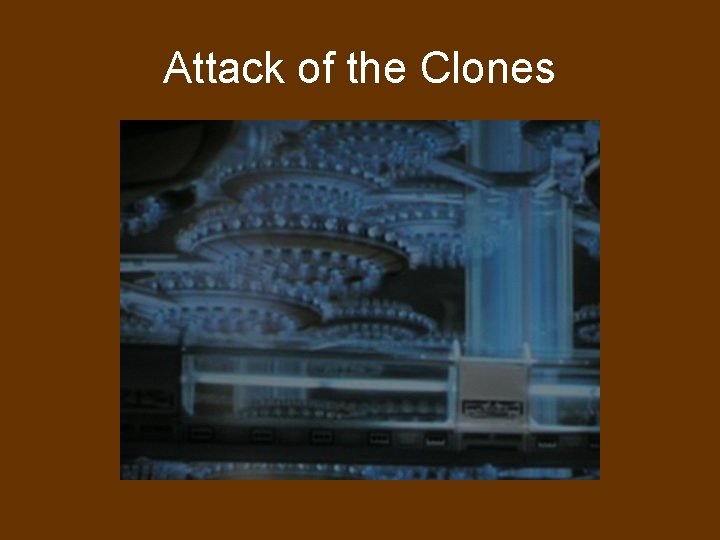 Attack of the Clones 
