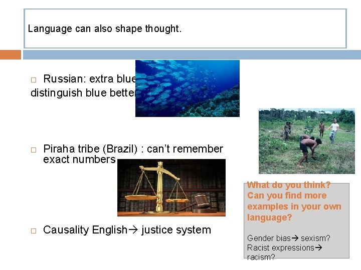 Language can also shape thought. Russian: extra blue distinguish blue better Piraha tribe (Brazil)