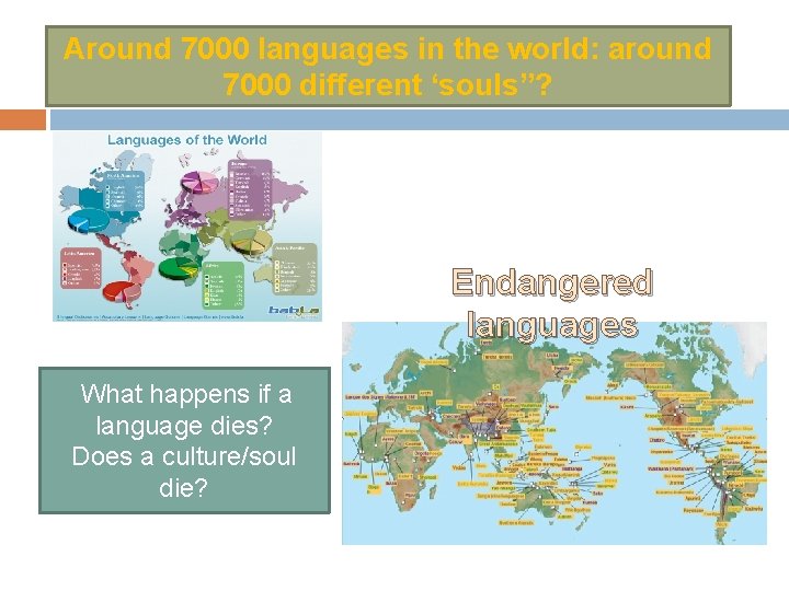Around 7000 languages in the world: around 7000 different ‘souls”? Endangered languages What happens