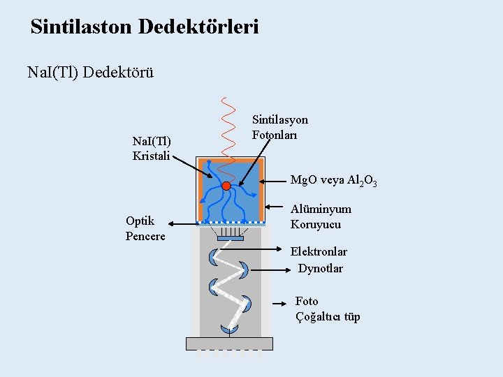 Sintilaston Dedektörleri Na. I(Tl) Dedektörü Na. I(Tl) Kristali Sintilasyon Fotonları Mg. O veya Al