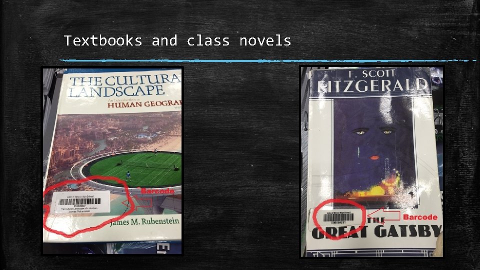 Textbooks and class novels 