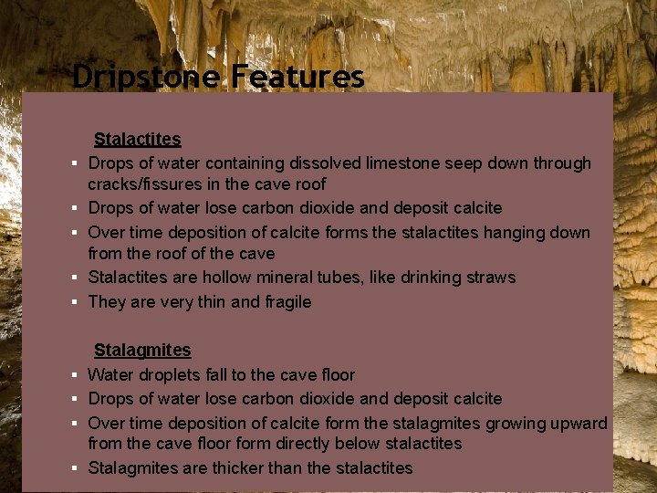 Dripstone Features § § § § § Stalactites Drops of water containing dissolved limestone
