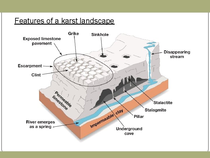 Features of a karst landscape 