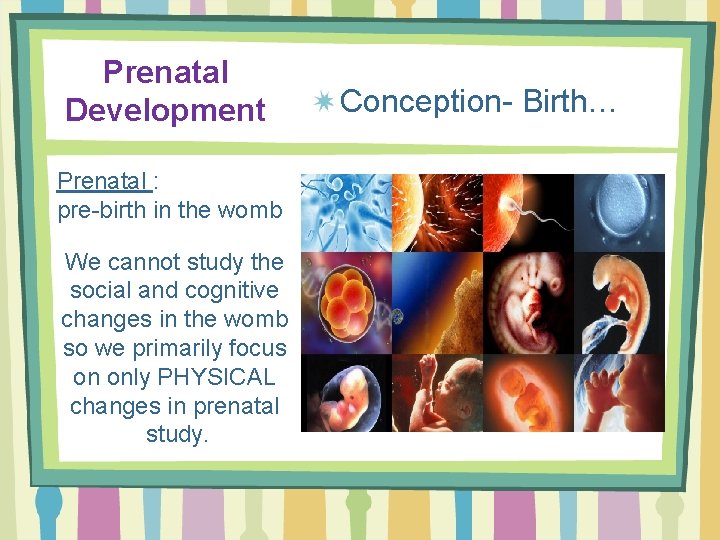 Prenatal Development Prenatal : pre-birth in the womb We cannot study the social and