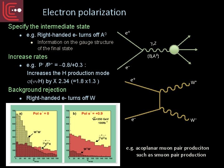 Electron polarization Specify the intermediate state l e. g. Right-handed e- turns off A