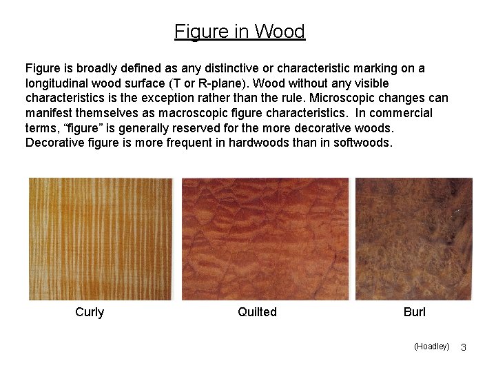 Figure in Wood Figure is broadly defined as any distinctive or characteristic marking on