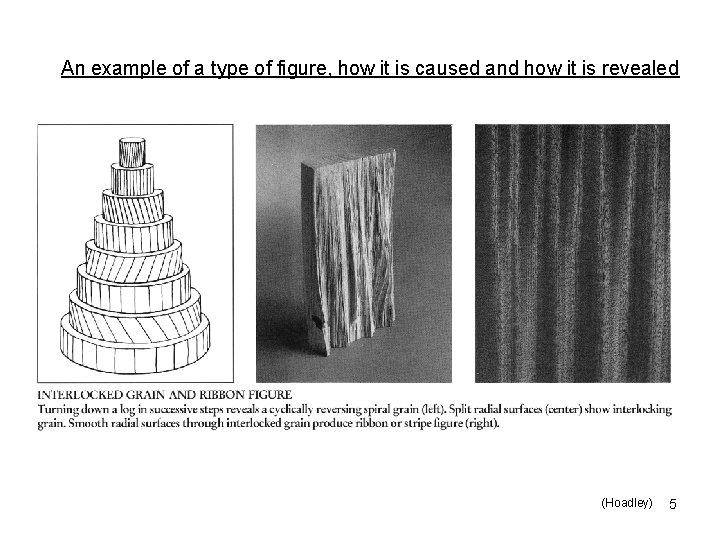 An example of a type of figure, how it is caused and how it