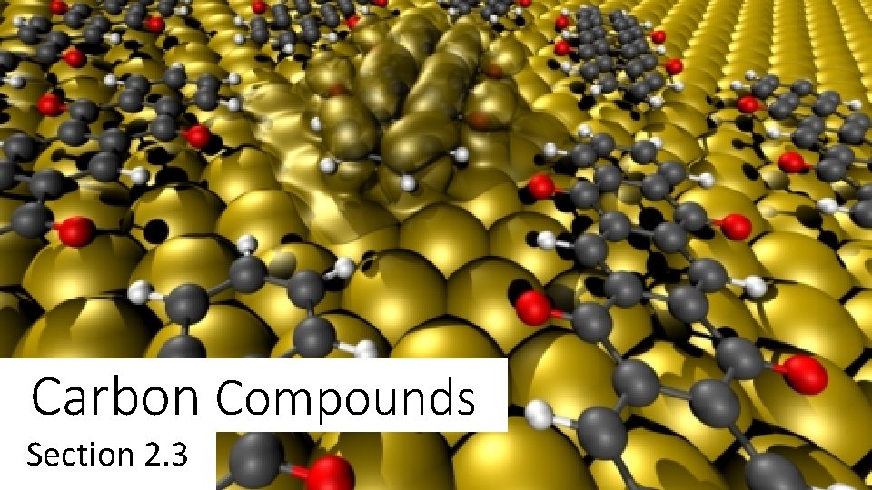 Carbon Compounds Section 2. 3 