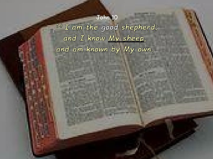 John 10 I am the good shepherd; and I know My sheep, and am