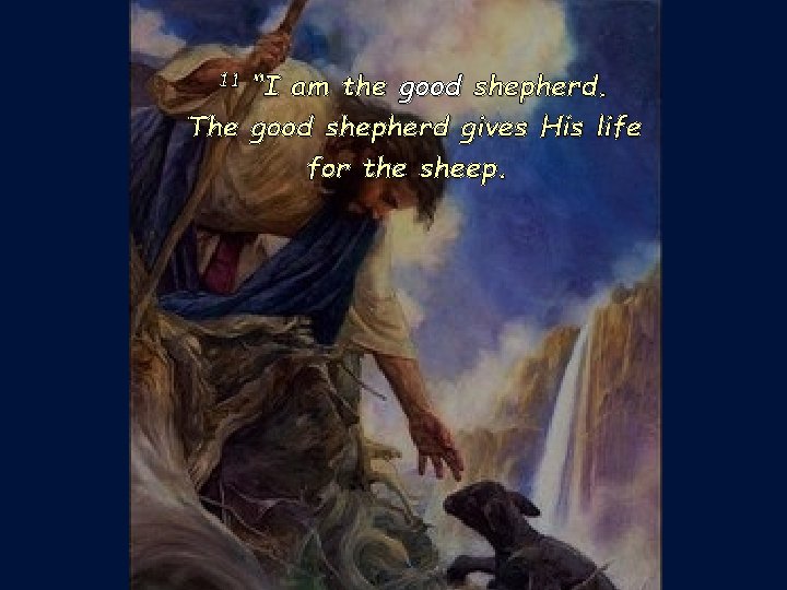 “I am the good shepherd. The good shepherd gives His life for the sheep.