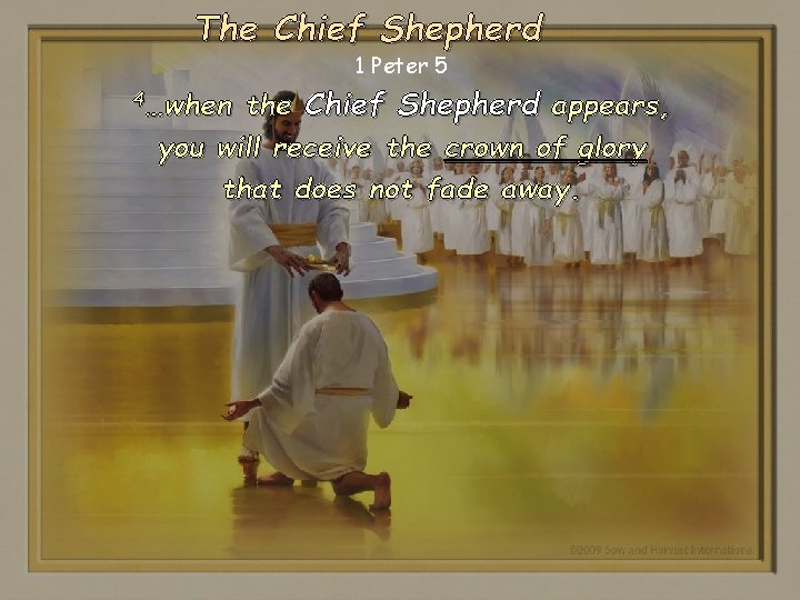 The Chief Shepherd 1 Peter 5 the Chief Shepherd appears, you will receive the