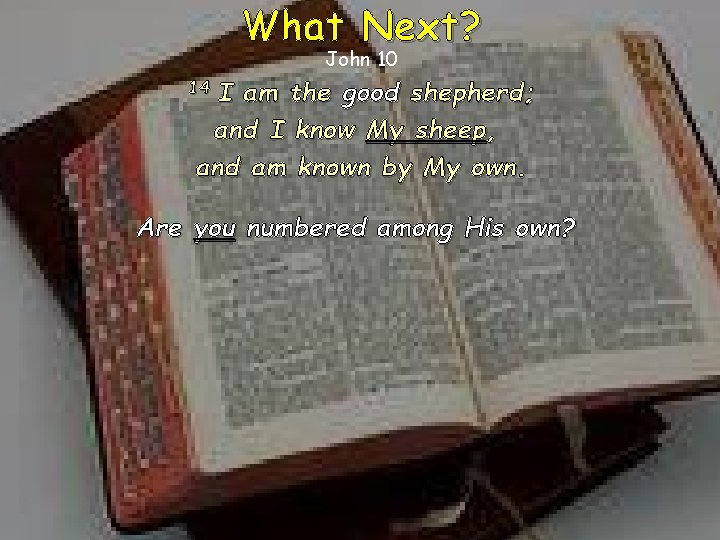 What Next? John 10 I am the good shepherd; and I know My sheep,