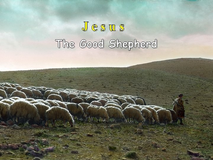 Jesus The Good Shepherd 
