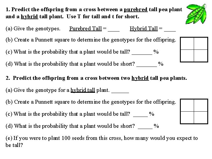 1. Predict the offspring from a cross between a purebred tall pea plant and