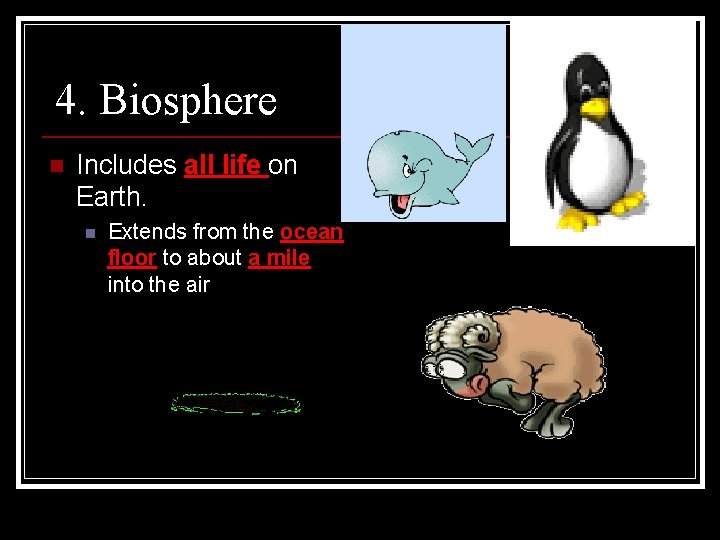 4. Biosphere n Includes all life on Earth. n Extends from the ocean floor