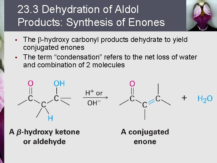 23. 3 Dehydration of Aldol Products: Synthesis of Enones § § The -hydroxy carbonyl