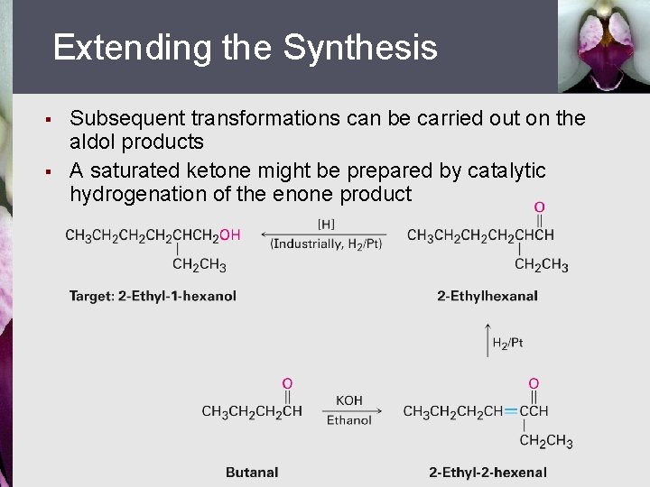 Extending the Synthesis § § Subsequent transformations can be carried out on the aldol