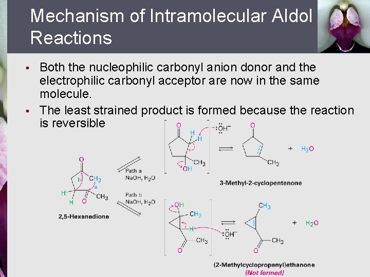 Mechanism of Intramolecular Aldol Reactions § § Both the nucleophilic carbonyl anion donor and