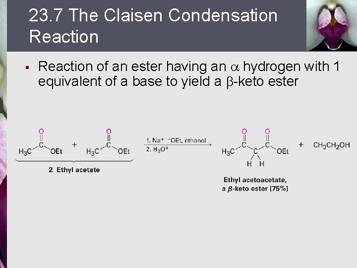 23. 7 The Claisen Condensation Reaction § Reaction of an ester having an hydrogen